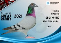 GB 21 N55510